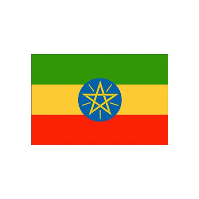 Government of Ethiopia