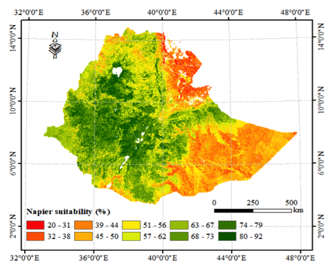 A preliminary mapping of land suitable for irrigated Napier production. The most suitable area was assessed to be 92 percent suitable, whereas the least appropriate area was assessed to be only 20 percent suitable. Land is considered suitable at 80 percent and above.