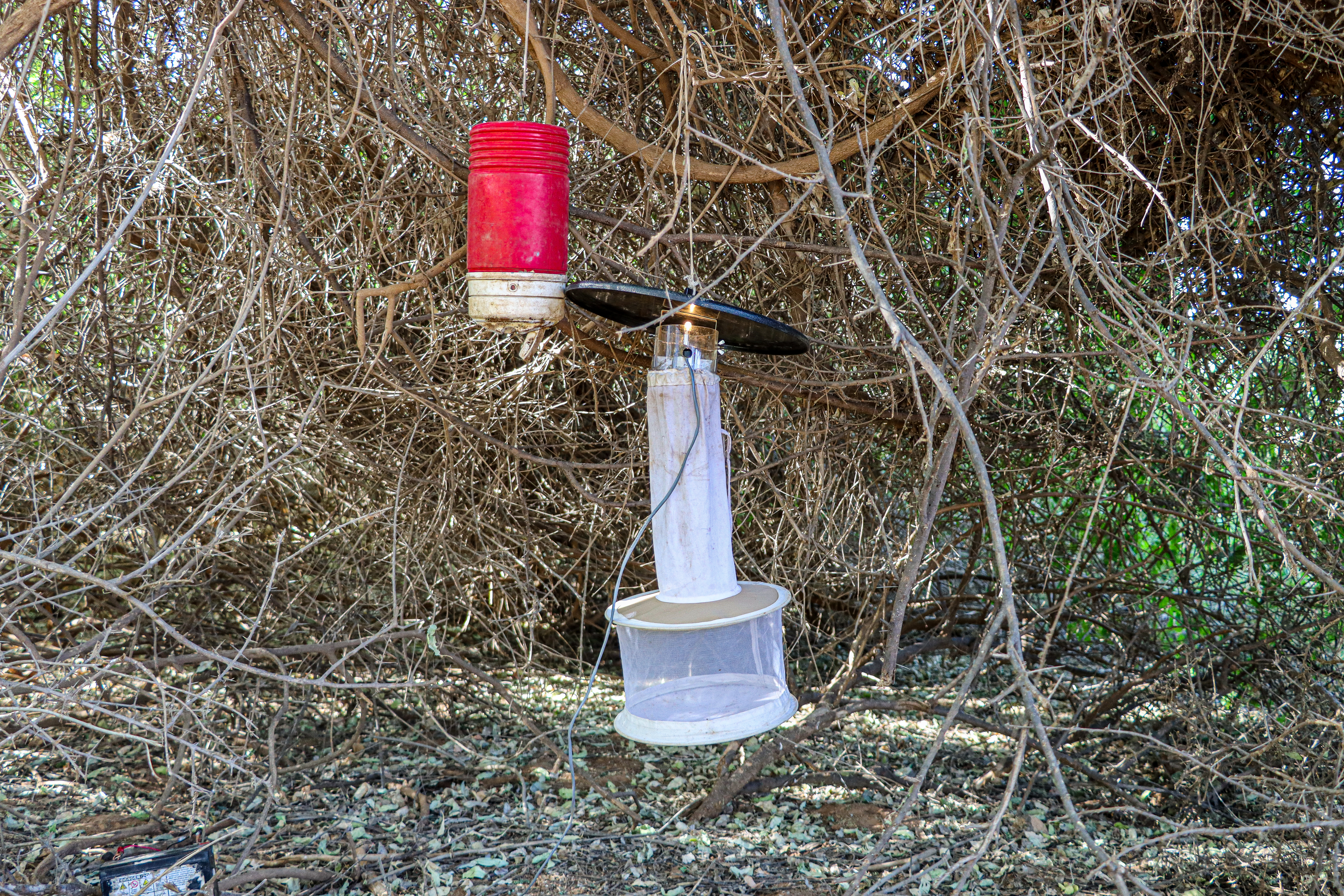 CDC mosquito trap