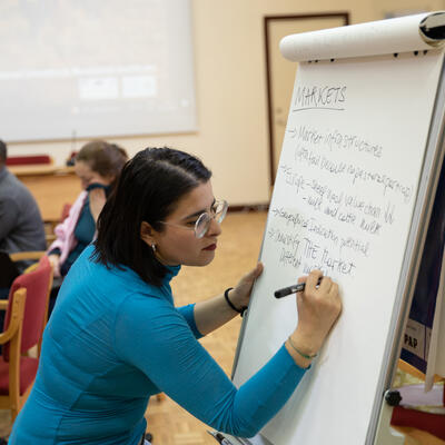 Participants in the markets group synthesise findings (Roopa Gogineni/PASTRES)