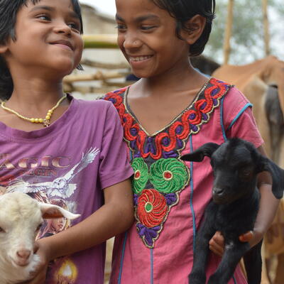 Training on the economics of animal health to improve management of disease threats in India