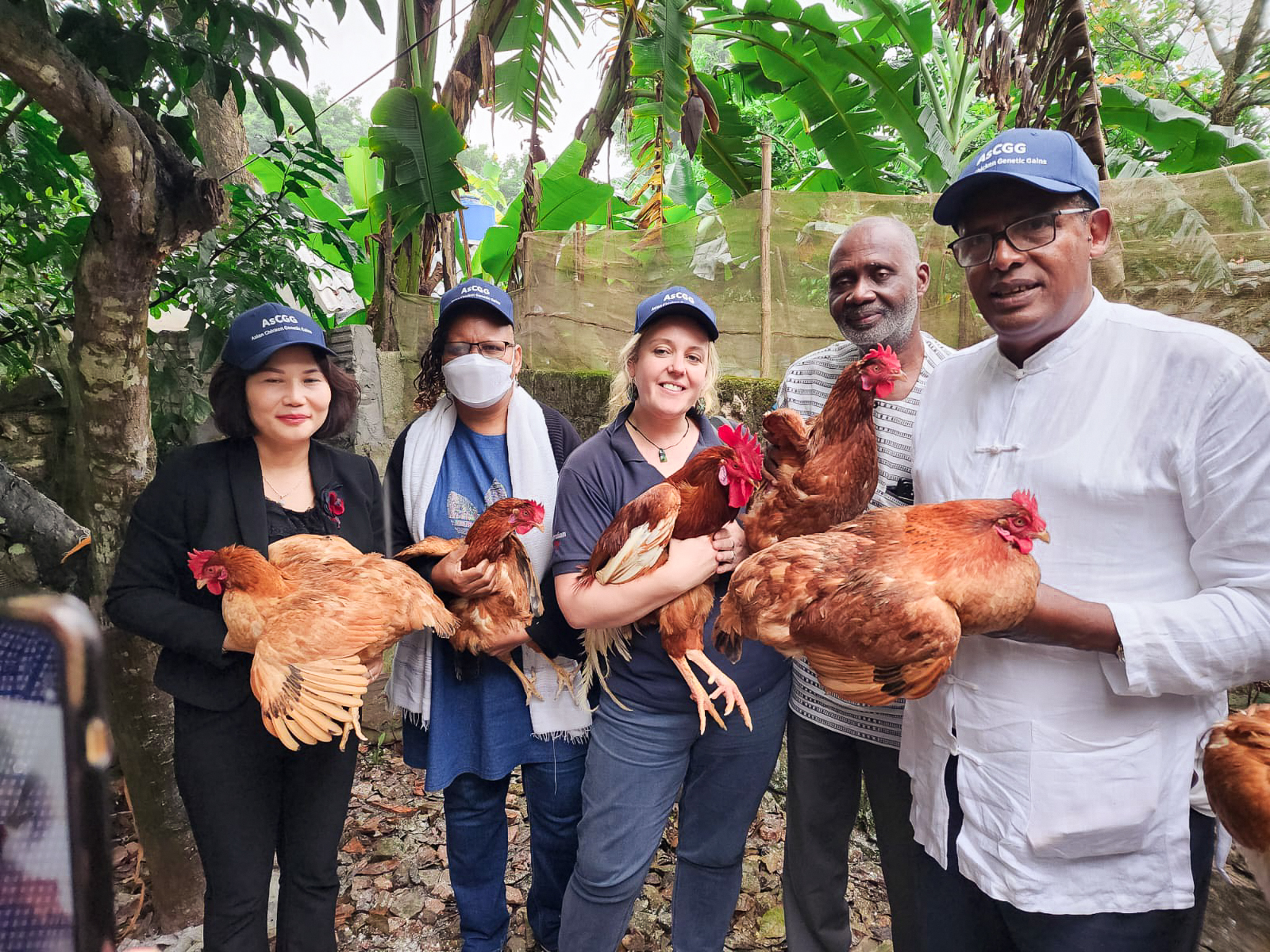 Asian chicken genetic gains project