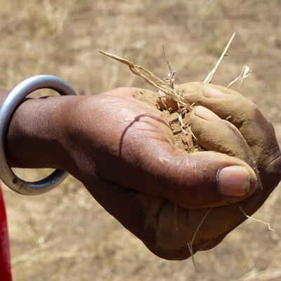 International Land Coalition Rangelands Initiative