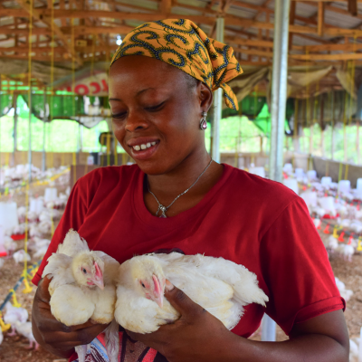 Designing for impact: how Nigeria’s livestock master plan forges coalitions and boosts coordination Designing for impact: how Nigeria’s livestock master plan forges coalitions and boosts coordination