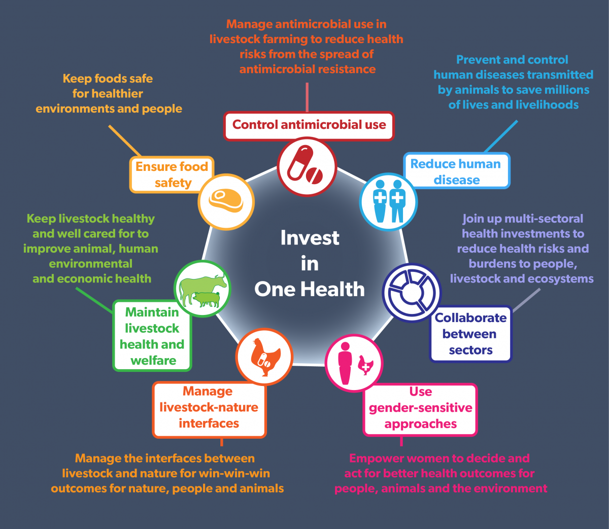 Livestock pathways to 2030: Seven ways to invest in One Health