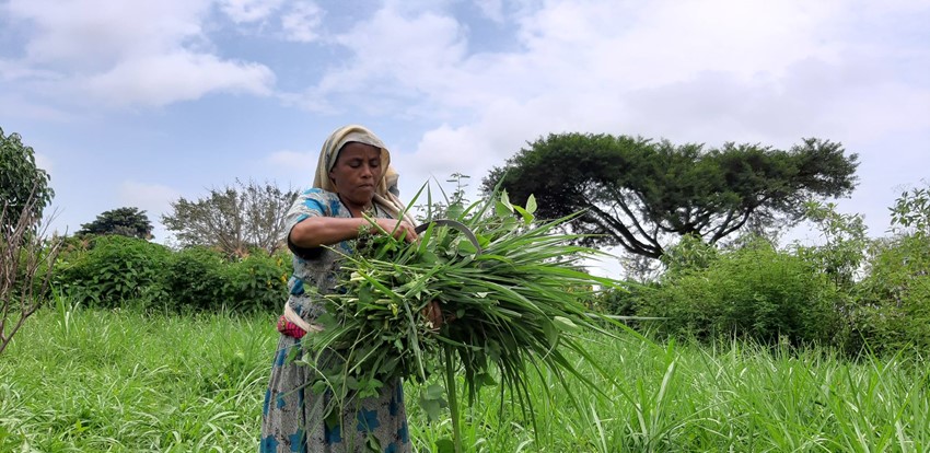 Clean water project proposal image