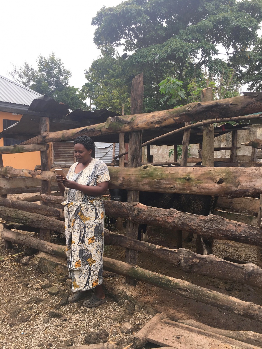 Violet Kimaro, a dairy farmer in Tanzania, checks her phone for updates from the African Dairy Genetics (ADGG) project. David Aronson/ILRI.