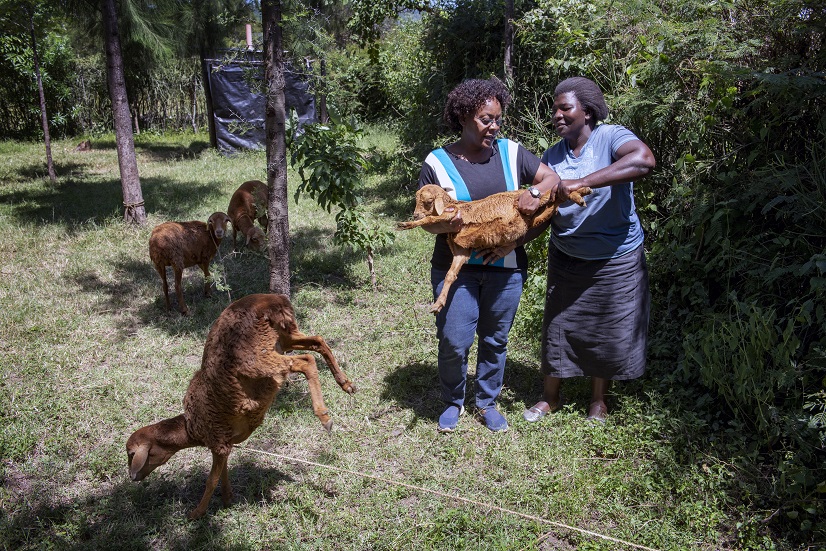 Julie Ojango discusses livestock with a smallholder farmer