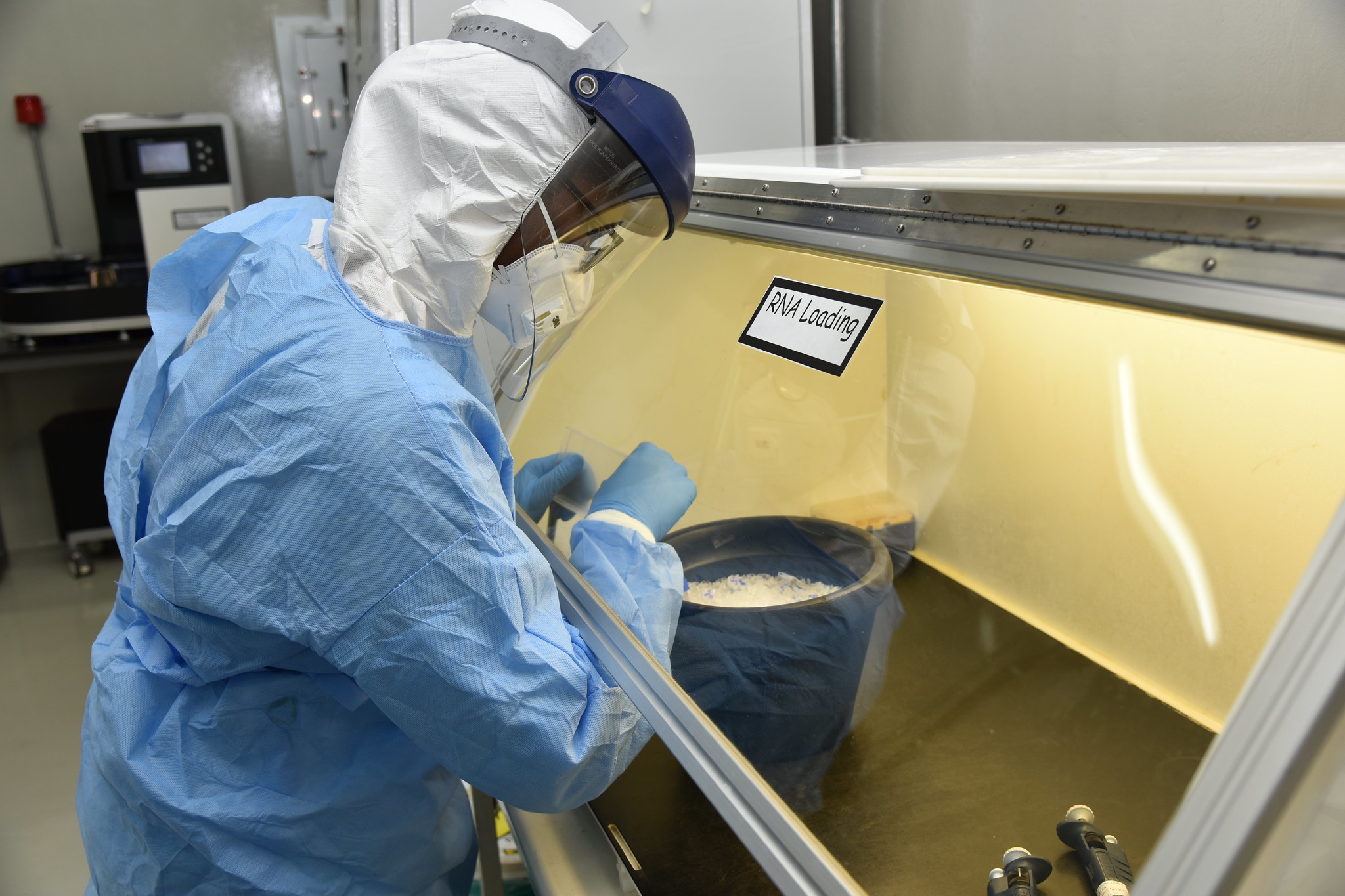Scientists preparing samples in biosafety level 3 facilities at ILRI