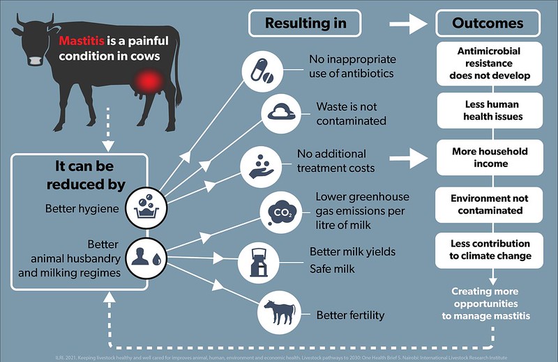 Infographic about mastitis