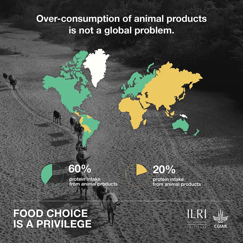 Over-consumption of animal products is not a global problem.