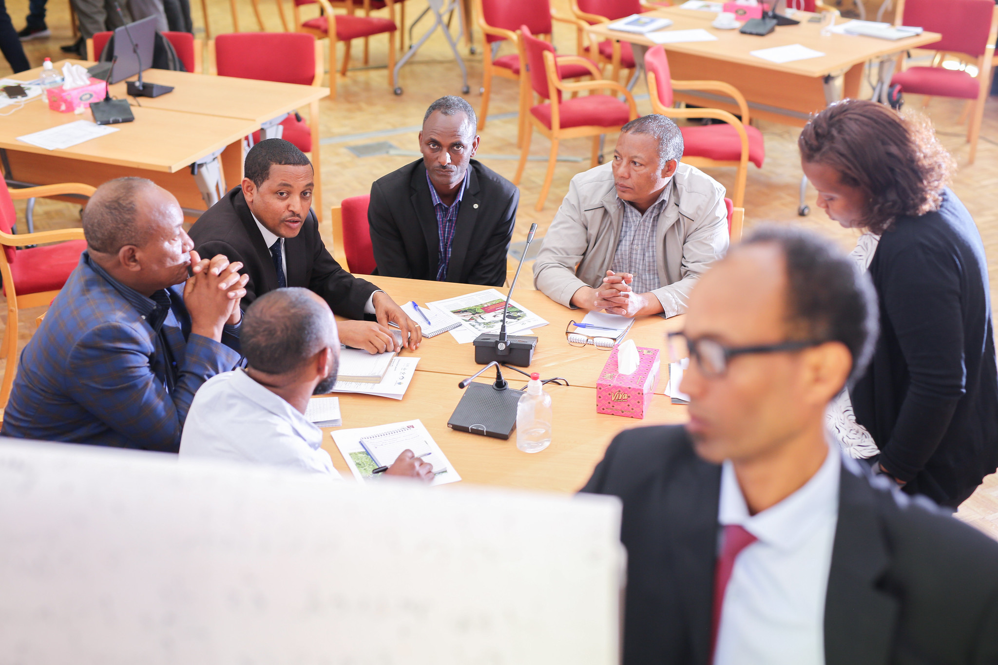 Group discussion at Enviro-cow Ethiopia launch. Photo ILRI/Apollo Habtamu