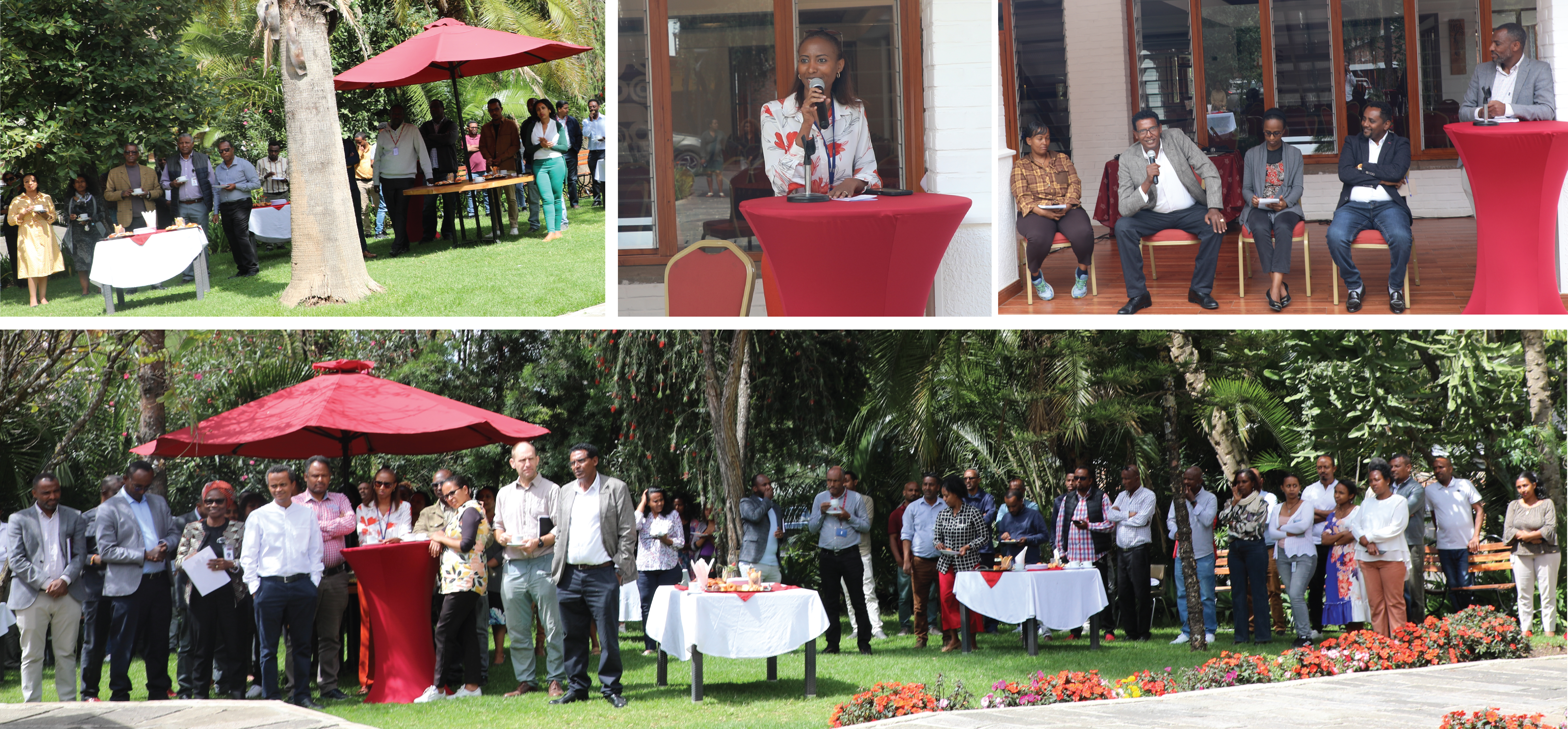 International Women's Day 2024 coffee morning at ILRI Ethiopia