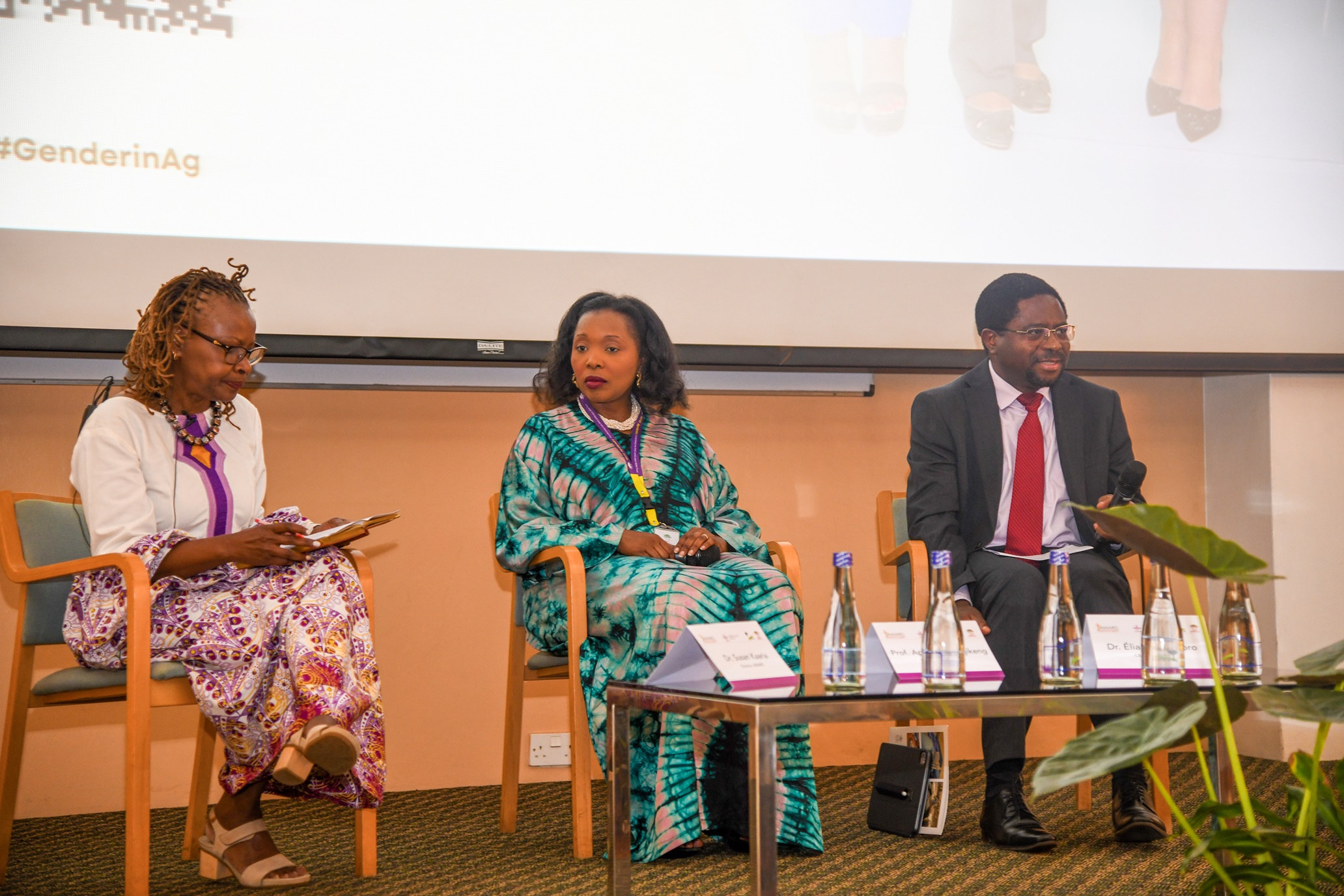 Susan Kaaria, Appolinaire Djikeng and Eliane Ubalijoro discuss experiences