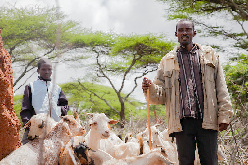 Saarr, pastoralist, explains his goats are his main source of income. Borana, Ethiopia (photo credit: ILRI\Zerihun Sewunet).