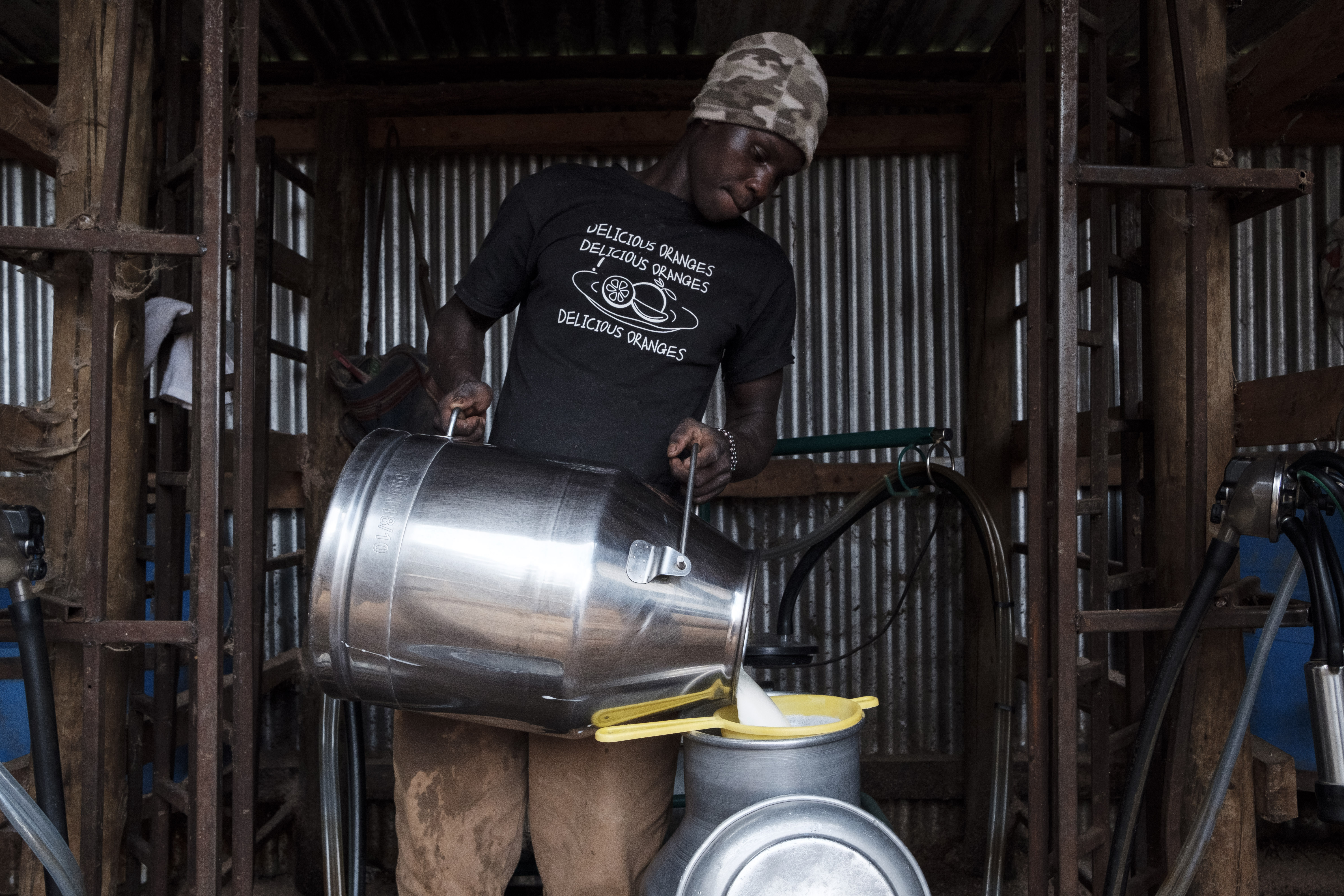 At the farm pouring milk