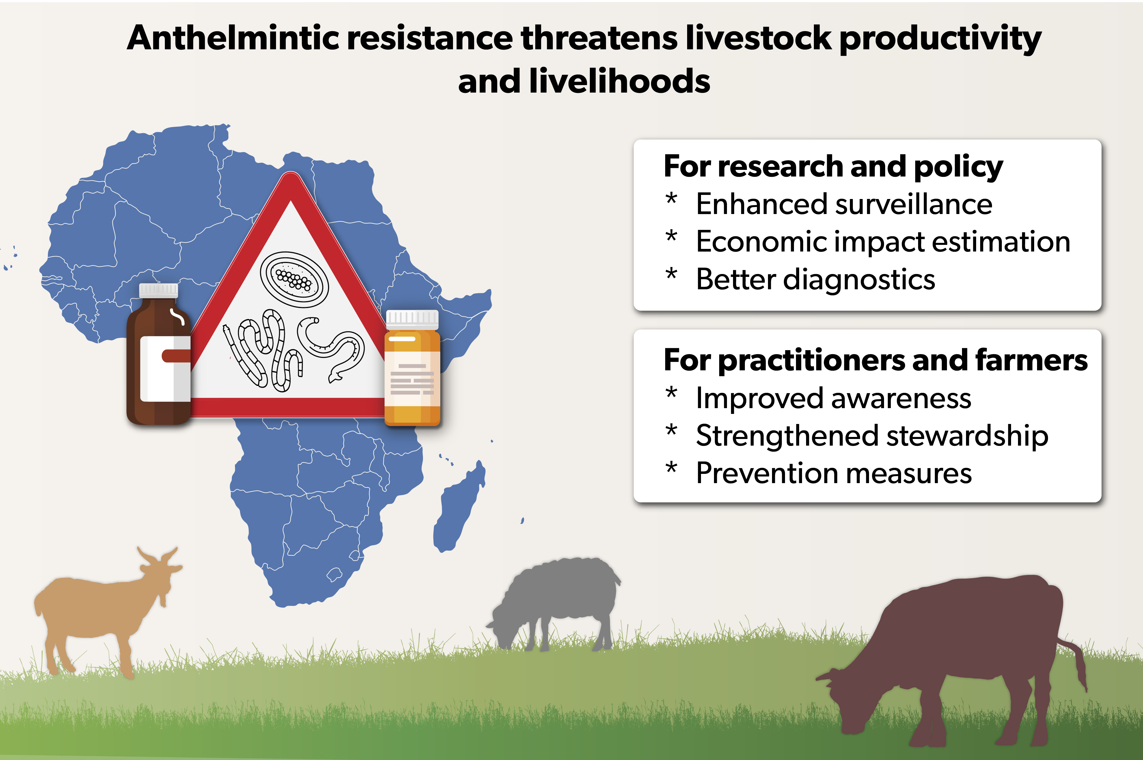 Infographic showing how anthelmintic resistance threatens livestock productivity and livelihoods