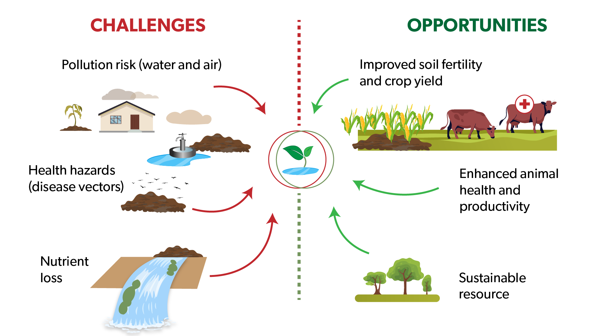 Challenges and opportunities of manure management