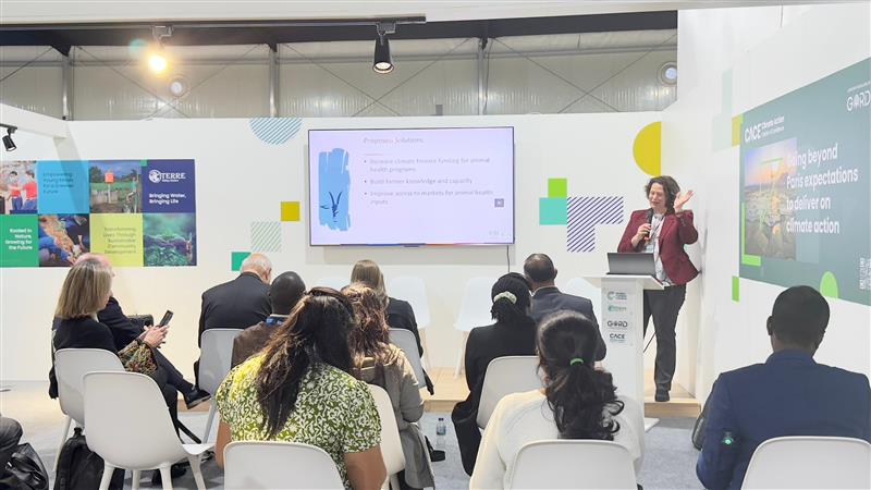 Laura in Baku at COP29