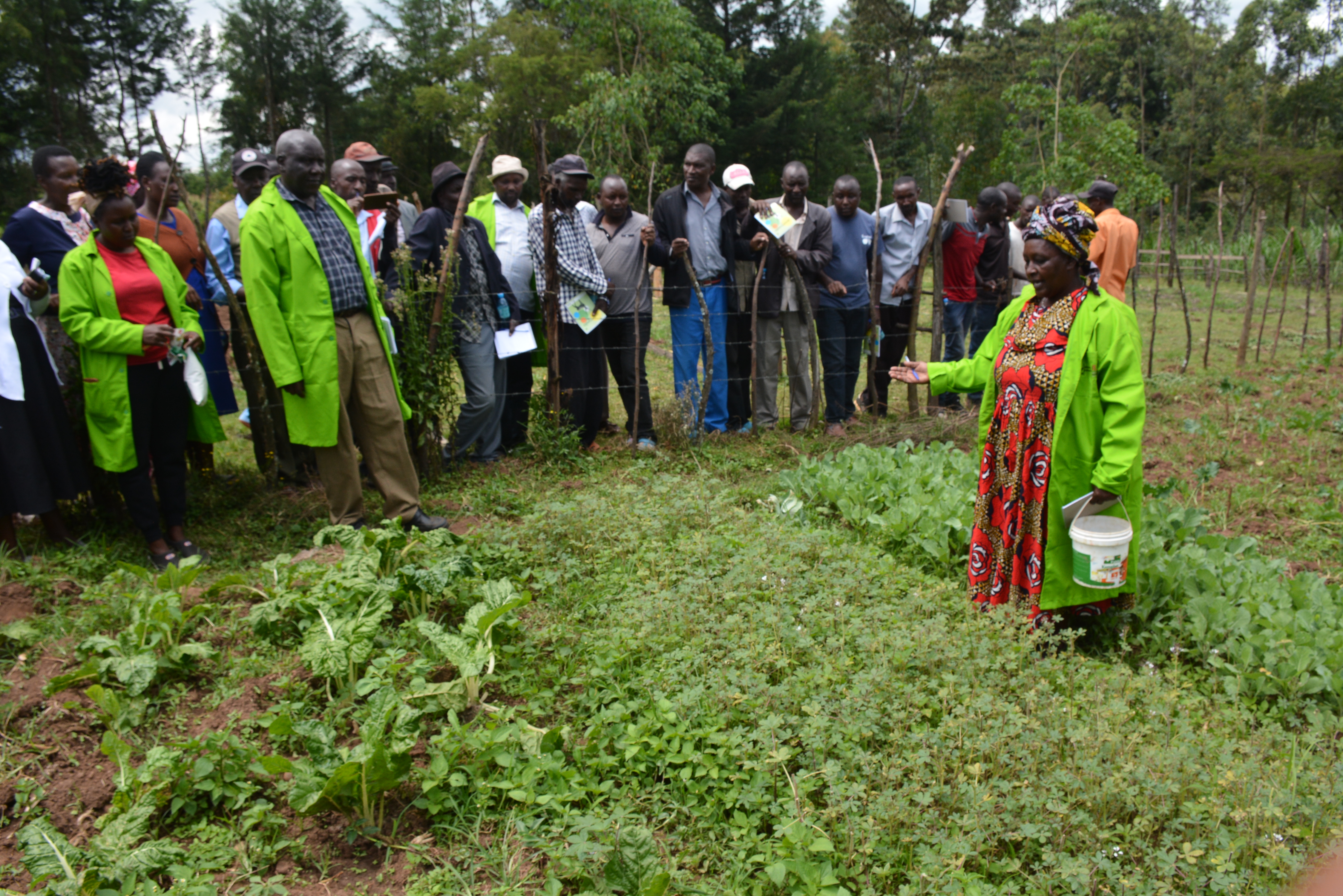 Catherine Rotich shares her kitchen gardening innovations