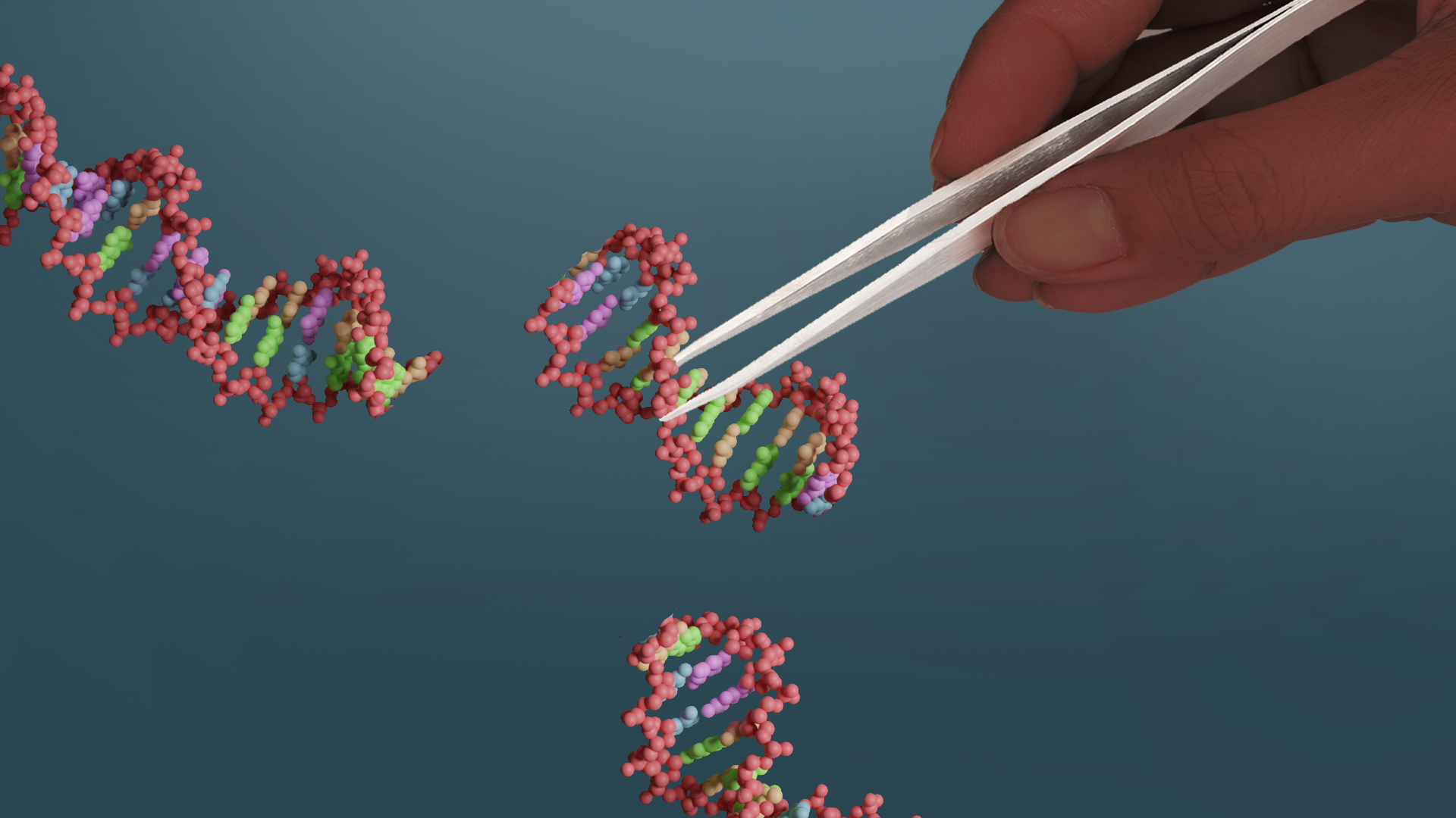 Genome editing description