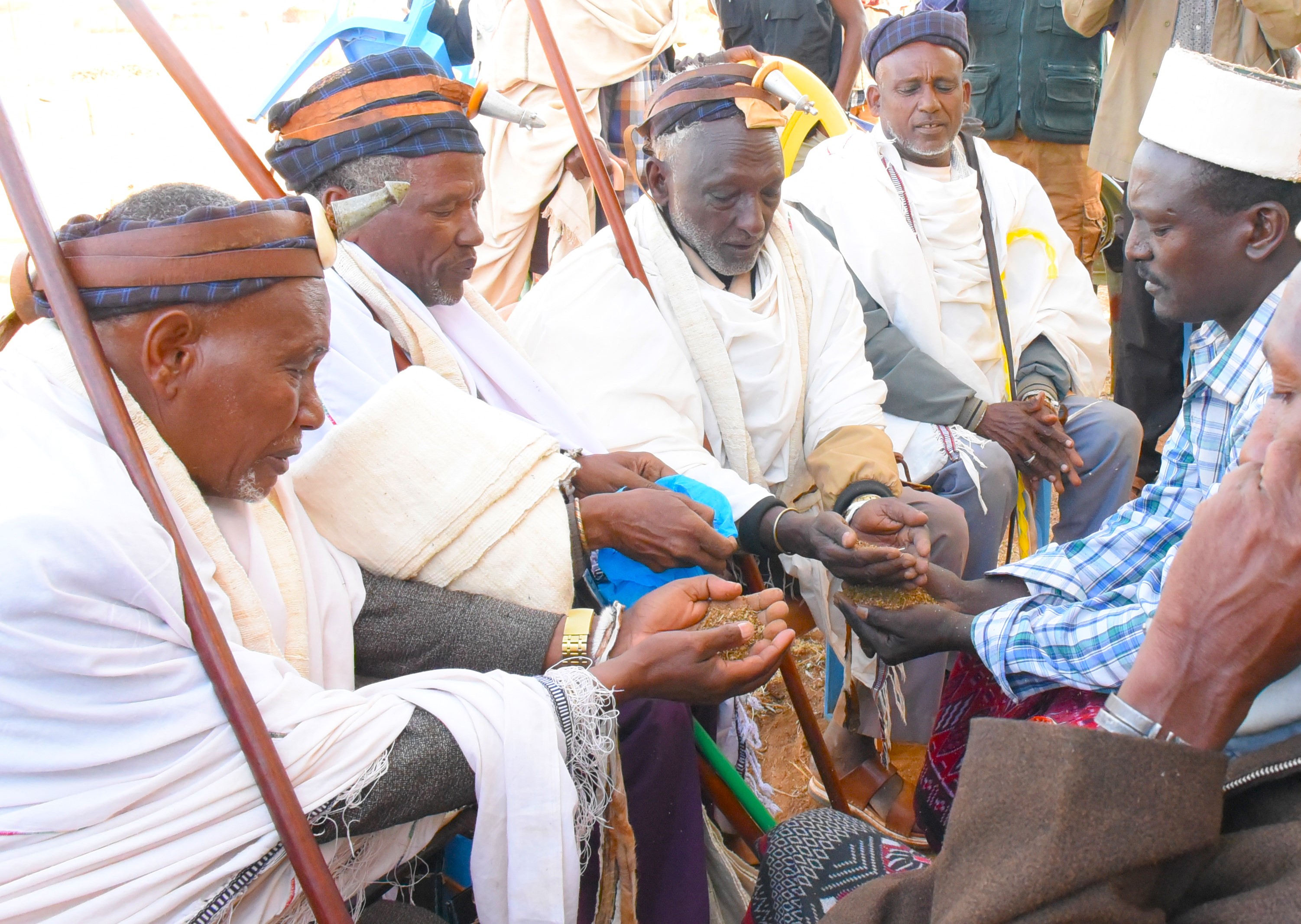 Elders from the Borana and Gabra communities conducting Qumbi, an intercommunal peace ceremony