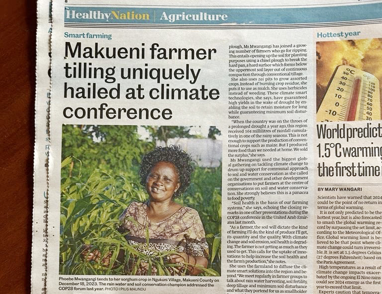 Phoebe M in the Nation