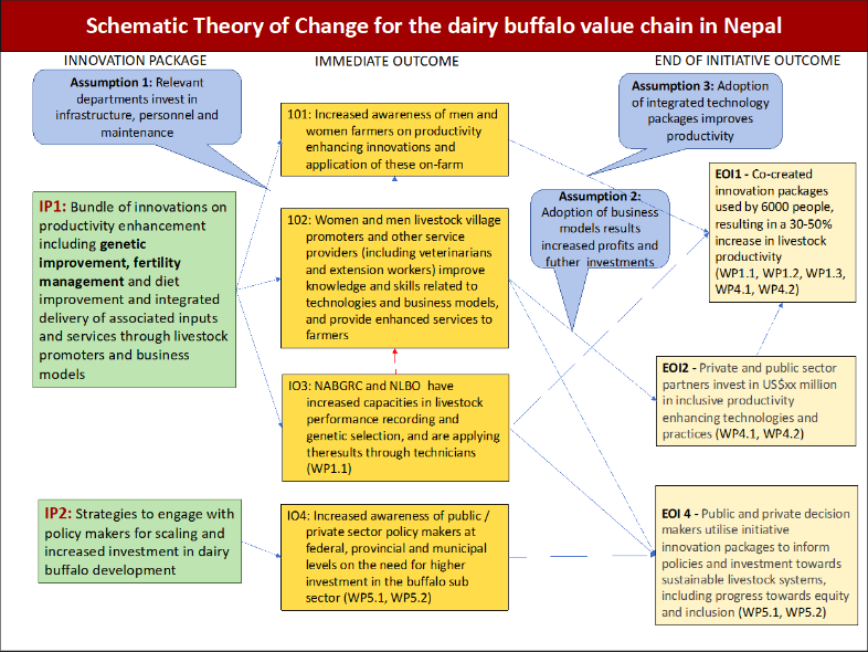 Original Schematic Theory of Change for the dairy buffalo value chain in Nepal