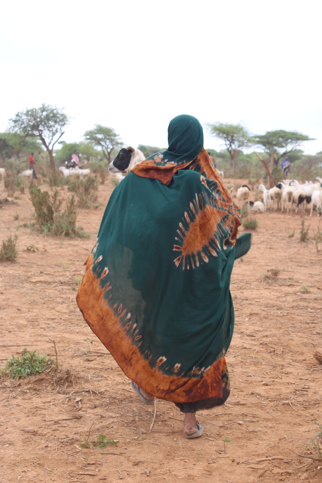 A Somali pastoralist woman carries her child on her back while holding a young goat in her arms, embodying the deep care and connection between family and livestock—essential bonds at the heart of pastoral life (photo credit: University of Glasgow/ILRI / Tsion Afework).