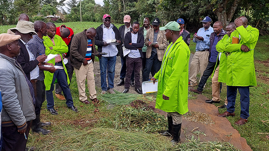 Farmers at a field day on Yebei's farm