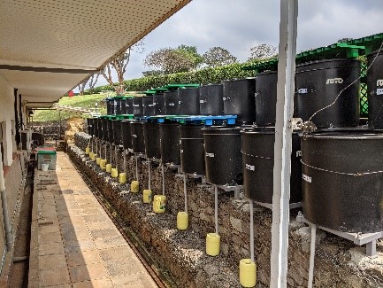 Manure setup to simulate solid storage