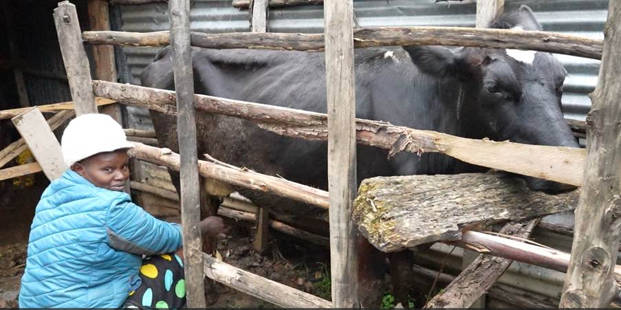 Caroline with her first cow, named Chelingi (photo credit: ILRI / Polycarp Otieno).
