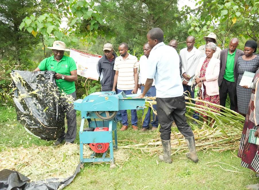 (R) at a farmer field day organized by ILRI (HABITAT project and SAAF Science Program) in May 2026 (photo credit: ILRI / Polycarp Otieno).