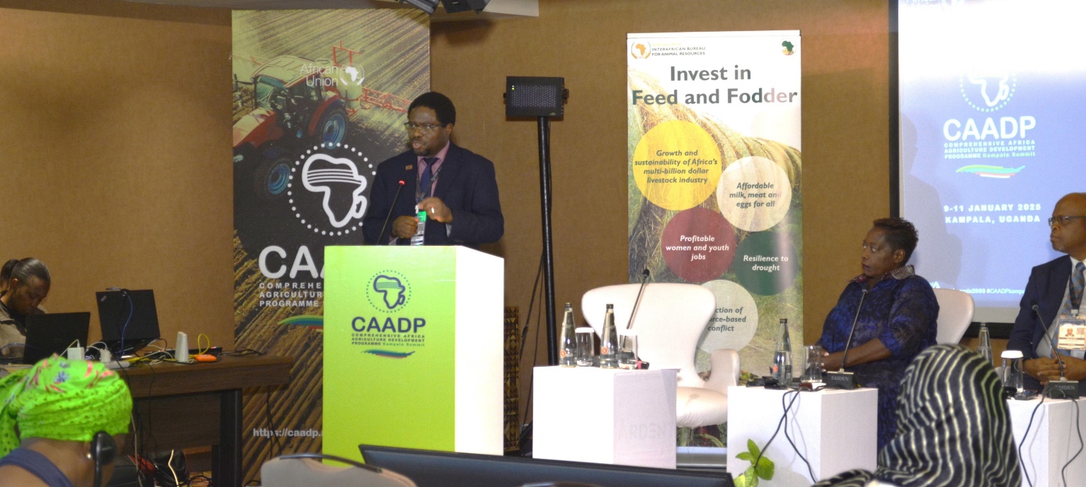 Apollinaire Djikeng, ILRI director general, speaking at one of the sessions during the Kampala CAADP summit (photo credit: ILRI/Pamela Wairagala).