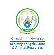 August 2021 Overview: