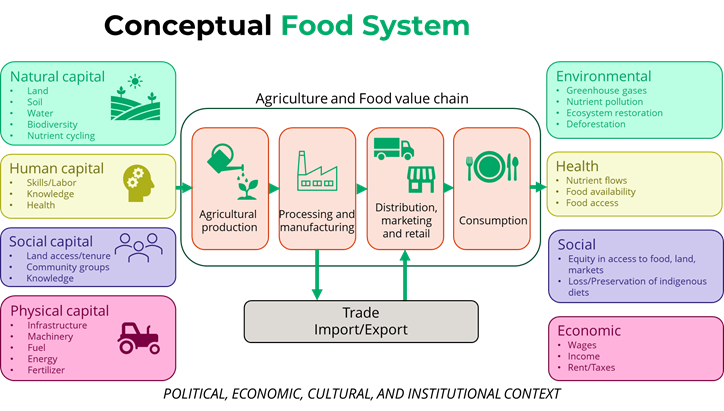 Initial look of the conceptual food system for Kenya