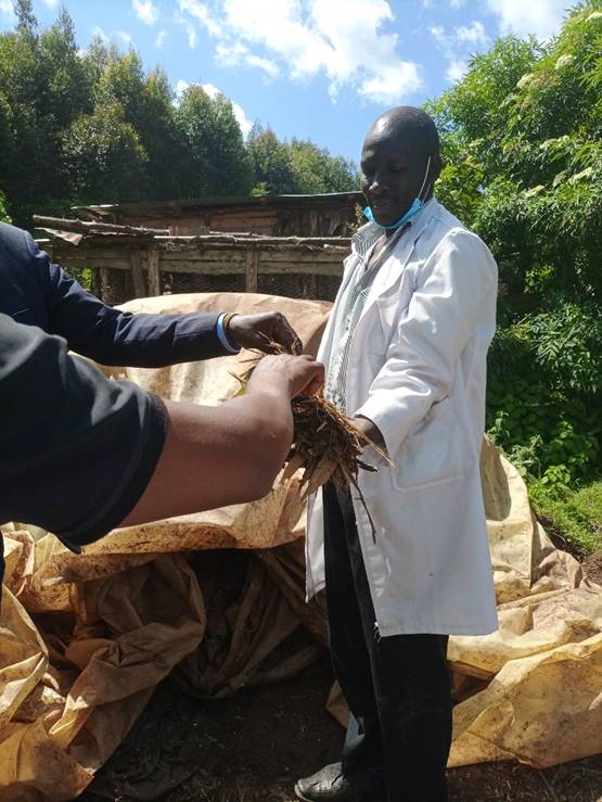 Felix Sum, a farmer from Chepterwai Ward in Nandi County, training other farmers on silage during a farmer-to-farmer field day he hosted on his farm in May 2021. (Credit: Nathan Maiyo/ILRI)