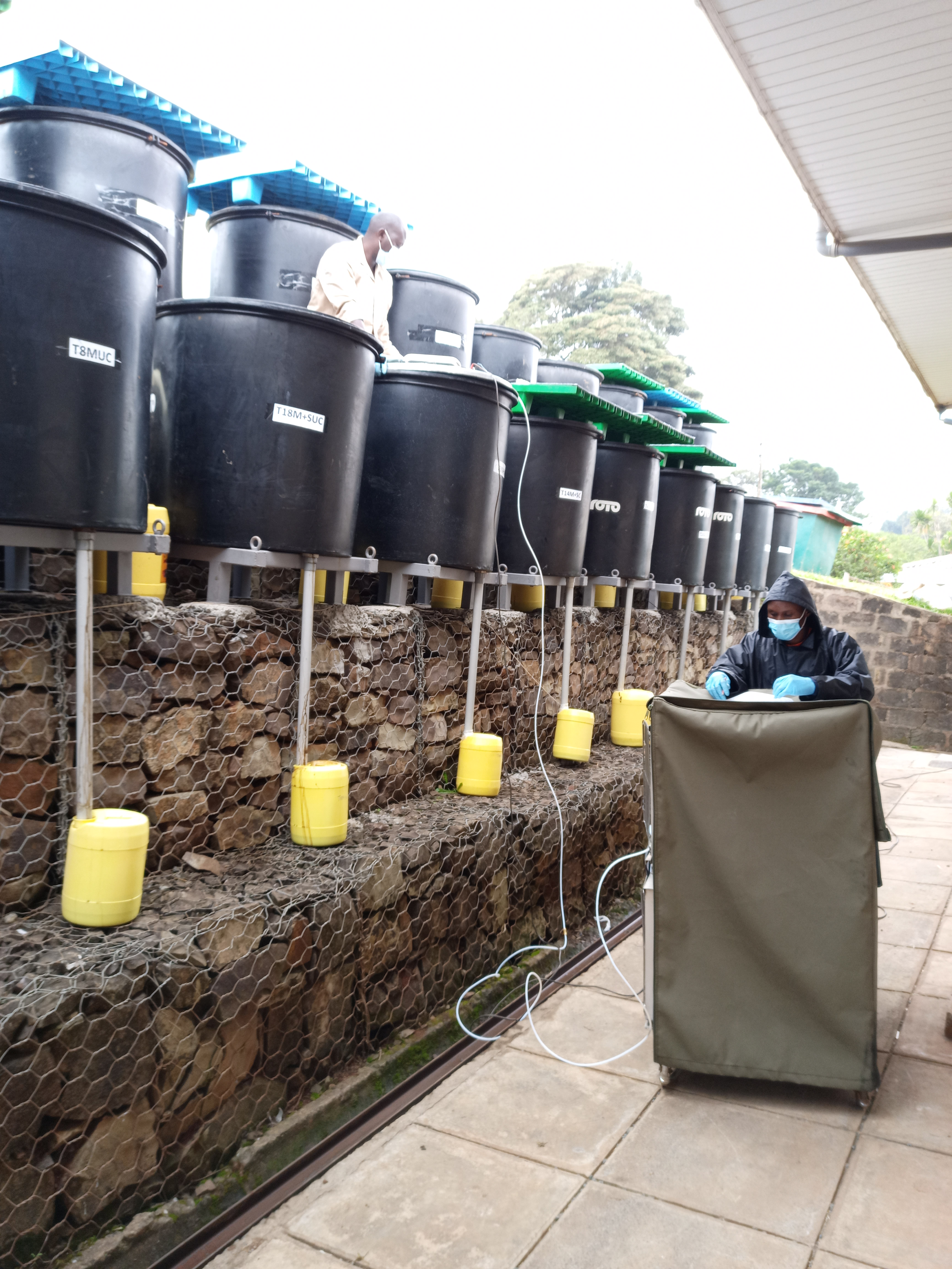 Experimental setup