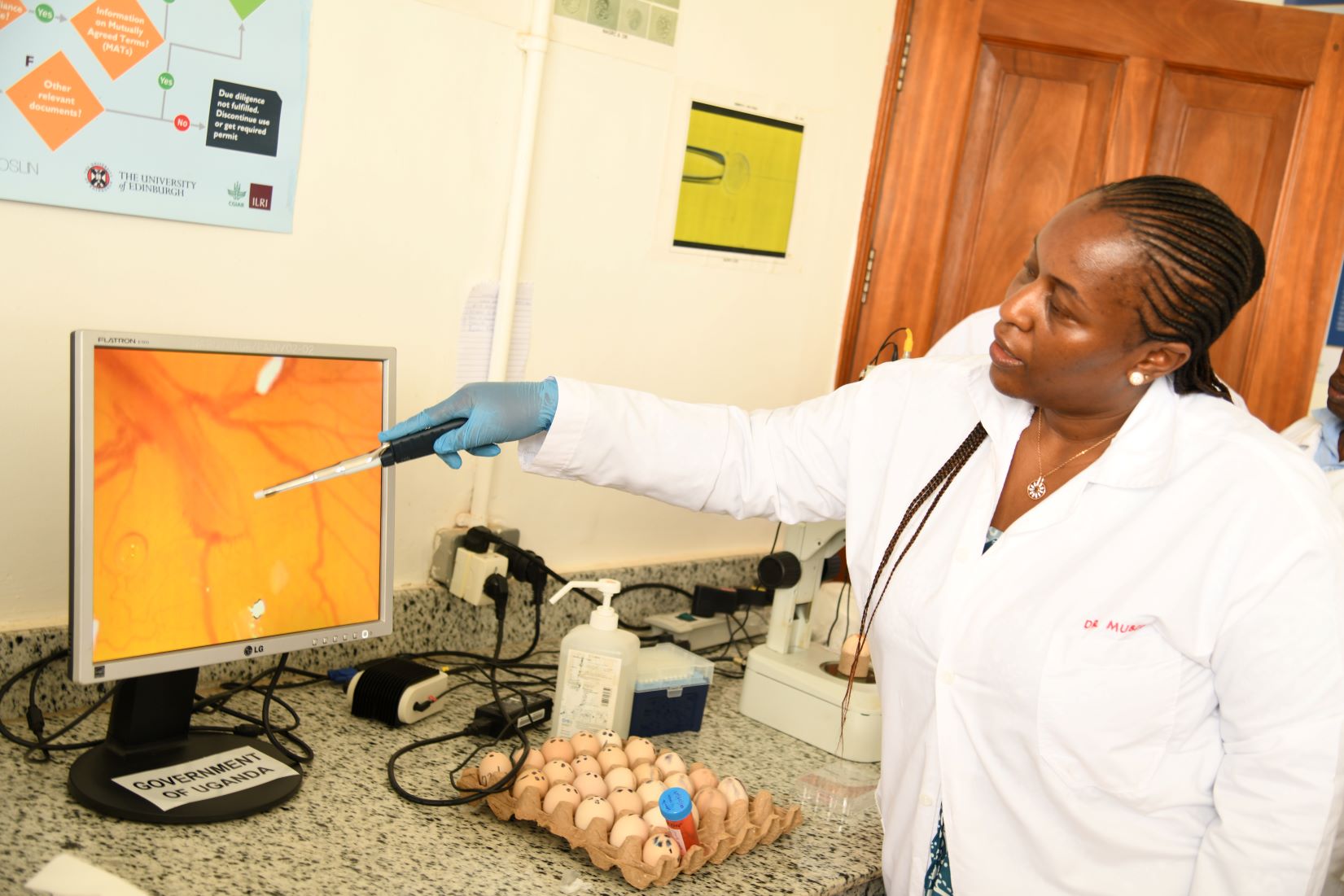 Christine Kamidi Muhonja, visiting scientist with Kenya Agricultural and Livestock Research Organization/ILRI