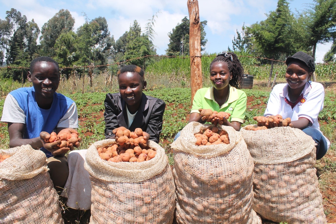 Tenfold potato harvest for youth in Meru, Kenya International