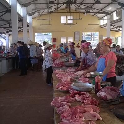 Reducing disease risks and improving food safety in smallholder pig value chains in Vietnam
