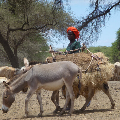 food security and climate change infographic food security and climate change infographic