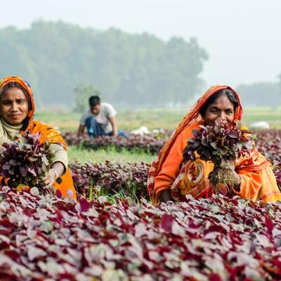 An index for measuring women’s empowerment in agriculture