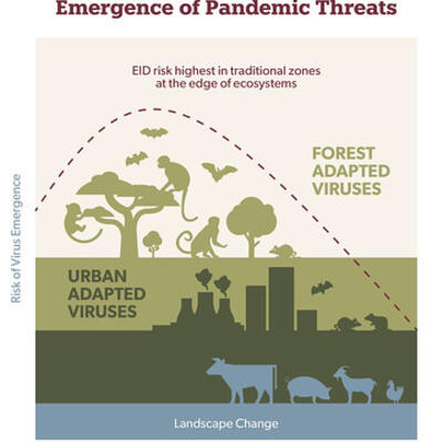 Emergence of Pandemic Threats