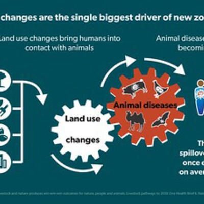 Land use changes are the single biggest driver of new zoonoses
