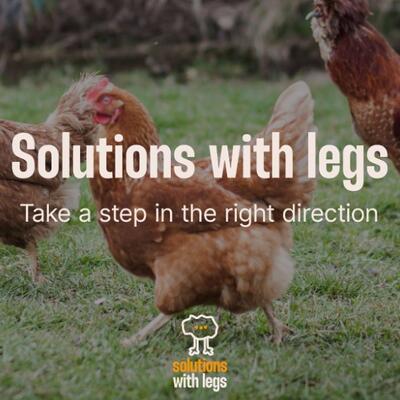 Solutions with legs