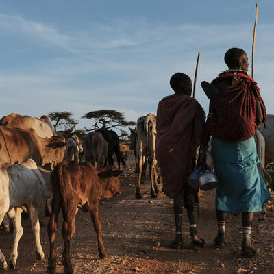 Pastoralists walking with their herd (ILRI Livestock CRP/ Kabir Dhanji).