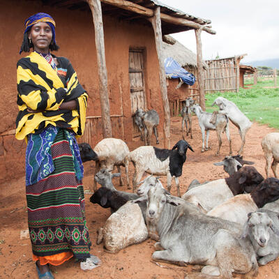 A young Borana woman with her goats in Borana, Ethiopia (ILRI /Zerihun Sewunet).