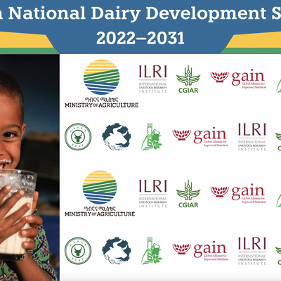 National Dairy Strategy