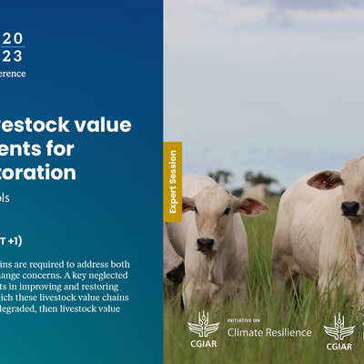 GLF Sustainable livestock value chain investments for rangeland restoration